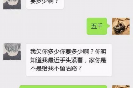 平南平南的要账公司在催收过程中的策略和技巧有哪些？